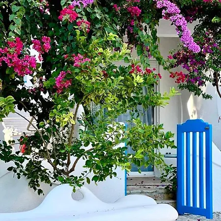 Bougainville Lemon Apartment Sarandë